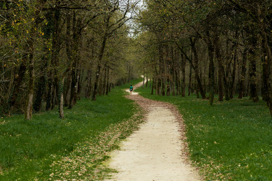Far away girl walking in forest France
