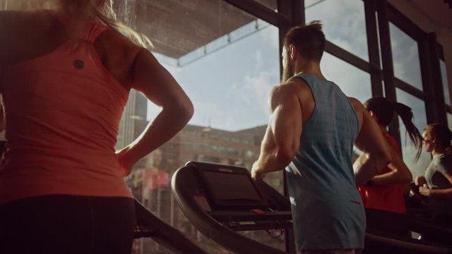 Group of Athletic People Running on Treadmills in a Row, Doing Fitness Exercise. Athletic and Muscular Women and Men Actively Training in the Modern Gym. Side View Golden Hour Sunny Light
