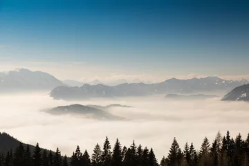 Tableaux ronds sur aluminium brossé Forêt dans le brouillard Wintr scene, amazing mountain view