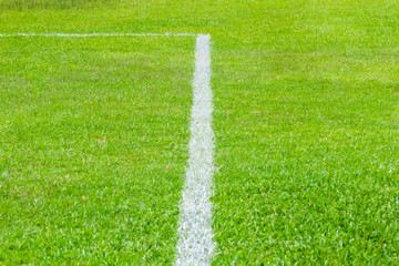The white line that is made up of the boundary line in the green lawn.