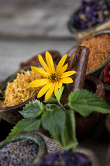 Natural remedy, healing herbs background