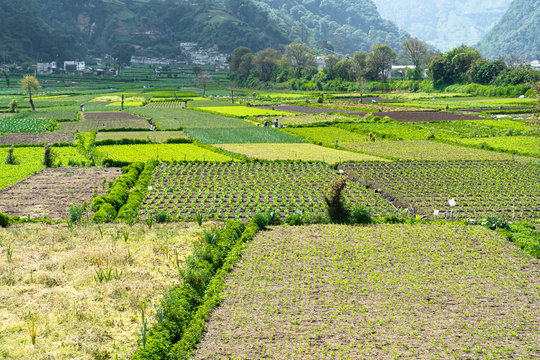 Almolonga en Guatemala tierra generosa de ricos alimentos.