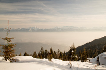 Snow covered fir trees against blue sky on cold winter