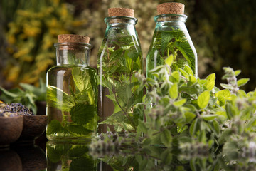 Fresh herbs and oils, wooden table background