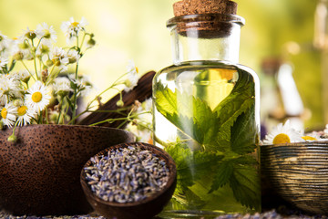 Fresh herbs and oils, wooden table background