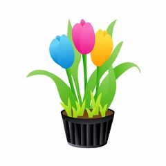 Illustration of Colorful Tulips in Flower Pot, Flat Design