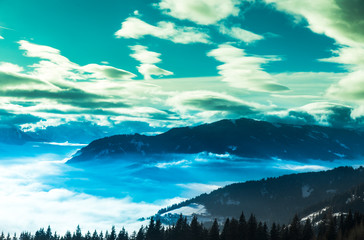 Fantastic winter landscape, sunset, snow covered trees