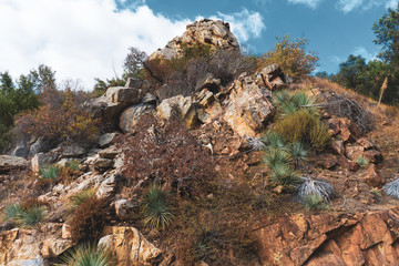 Hill with red rocks and desert plants