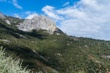 beautiful landscape in sequoia national park with a Moro Rock on the background
