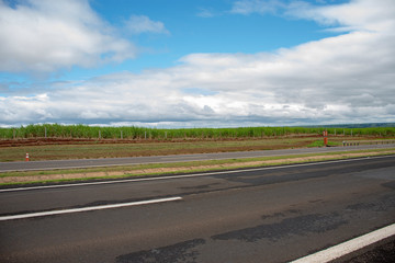 Fototapeta premium State road - highway