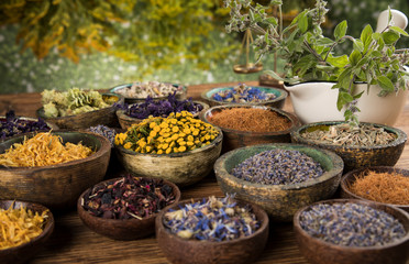 Natural remedy, healing herbs background