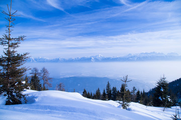 Fantastic winter landscape, sunset, snow covered trees