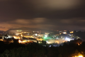 ciudad en el bosque