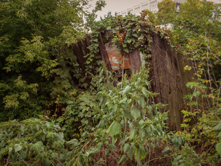 Old grunge wooden fence. Old destroyed wooden fence overgrown with green grass