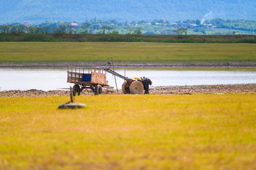 Landscape view life of countryside thailand.