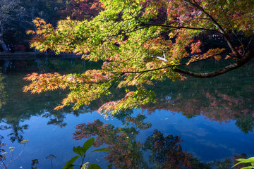 軽井沢の雲場池と紅葉