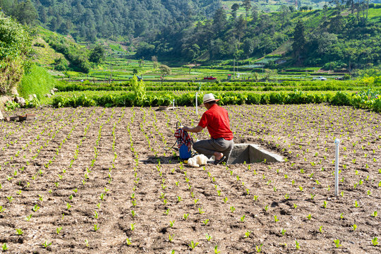 El campesino est&aacute; arreglando su herramienta de fumigaci&oacute;n.
