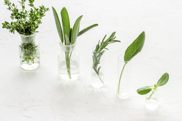 Healing herbs in glasses on white background