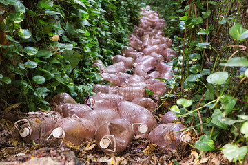 Plastic river