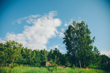 the concept of weather observation, meteorology-the formation of clouds in the sky. Copy space.