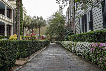 Stone flower lined path way