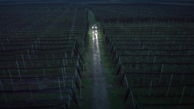 Car in vineyard at night