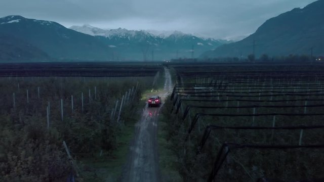 Aerial view of a car starting on the dirt road of the vineyard at dusk. 4k