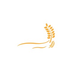 Agriculture wheat vector icon design