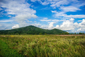 Obraz premium Summer landscape. Field, green hills and blue sky with clouds.