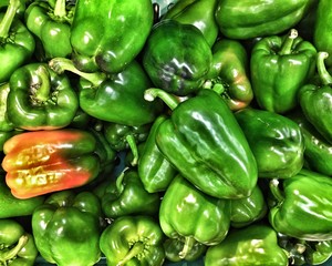 Fototapeta na wymiar Fresh peppers or capsicum