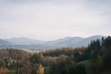 Mist and golden leaves in Beskydy mountains