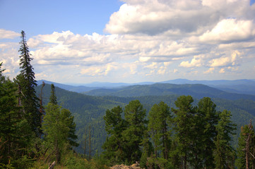 View through tall pine trees to the tops of mountain ranges under a blue cloudy sky.
