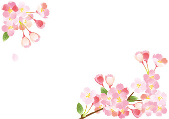 桜 背景イラスト Wall Mural April April Wallpaper Murals Perori