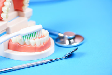 Dental care concept - dentist tools with dentures dentistry instruments and dental hygiene and equipment checkup with teeth model and mouth mirror oral health - 306293226