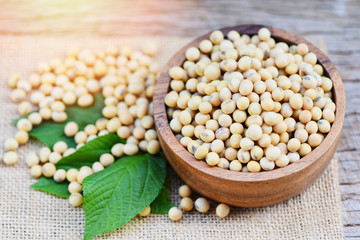 Soya , Soybean in a wooden bowl agricultural products on the sack background / dry soy beans and green leaf
