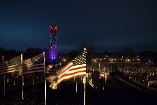 American Flags At Night