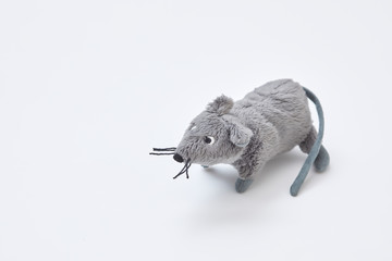 Mouse plush toys for 2020 New Year's cards