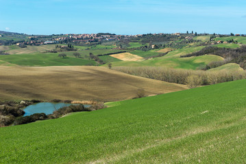 Fototapeta na wymiar Tuscany landscape in spring, Orcia Valley, Italy 