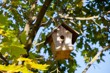 Wooden homemade birdhouse hanging on a  tree