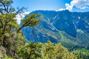 Granite cliffs in Yosemite National Park, California, USA