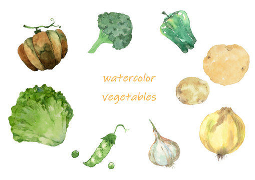 野菜水彩画