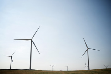 Fototapeta premium Wind energy concept