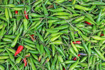 red hot chili peppers