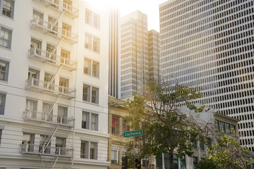 Obraz premium San Francisco Financial District, August 2019