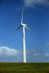 Wind Turbine on grassy field against blue sky