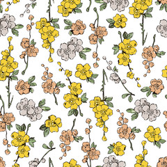 Seamless pattern flowers, flowering plants to bloom on white background. Spring , summer time.