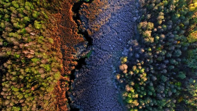 Autumn forest and swamp covered by frost, view from above