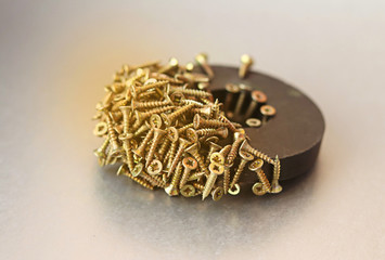 Many bolts on a round magnet on a gray background. Magnetic field. Selective focus