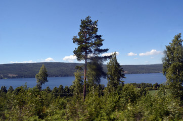 Views from the train window. Mountain tundra of Central Norway. Railway travel in Norway.The Bergen - Oslo train.