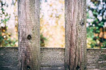 Bretter Zaun mit Park im Hintergrund